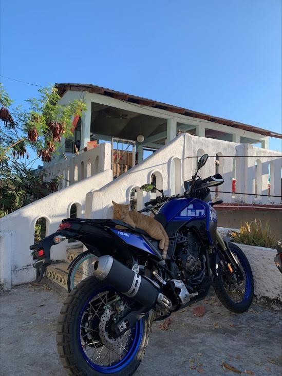 La Coral Beach House Hostel Puerto Escondido  Exterior photo